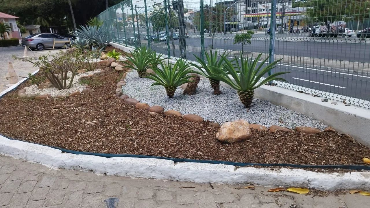 Poda de árvores , jardinagem em geral - Foto 2