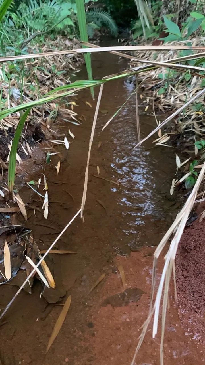 CHÁCARA A VENDA 10.000  MTS ANÁPOLIS GO COM REPRESA, SÓ DELA !DIRETO COM PROPRIETÁRIO! - Foto 8