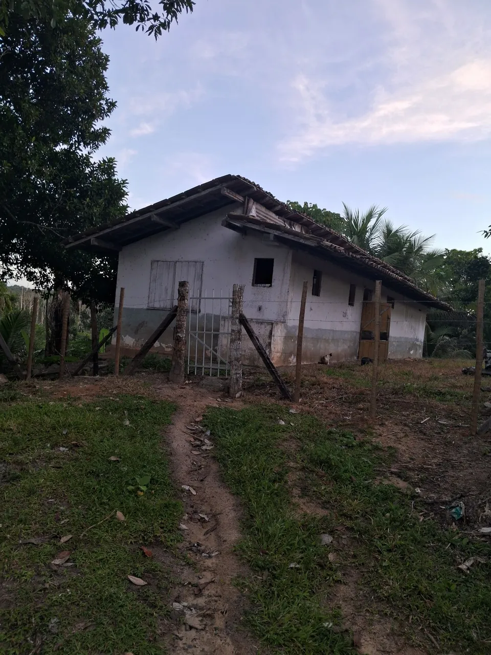 Sítio Novo Couto (Próximo a Cururupe)
