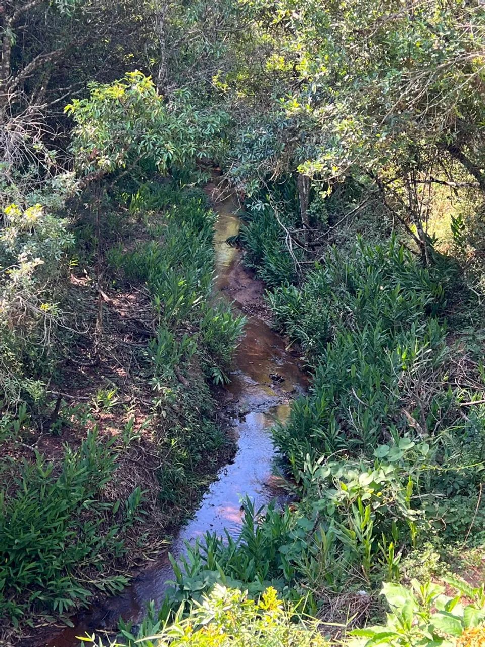 Chacara em Casa Grande / perto de Queluzito - Foto 4