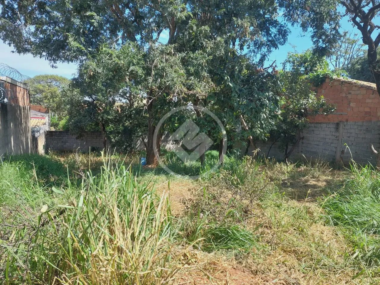 LOTE COMERCIAL- LUNDCEA- codigo: 67603 - Foto 4