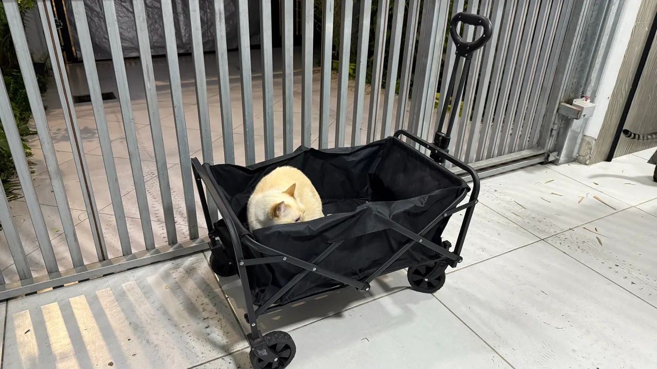 Carrinho Multiuso Para Carga  Dobrável IMPORTADO Compras - Foto 3