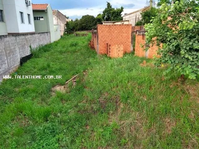 Terreno para Venda em Jataizinho - Foto 4