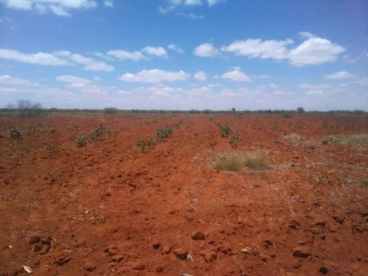 Fazenda em América Dourada - Foto 5