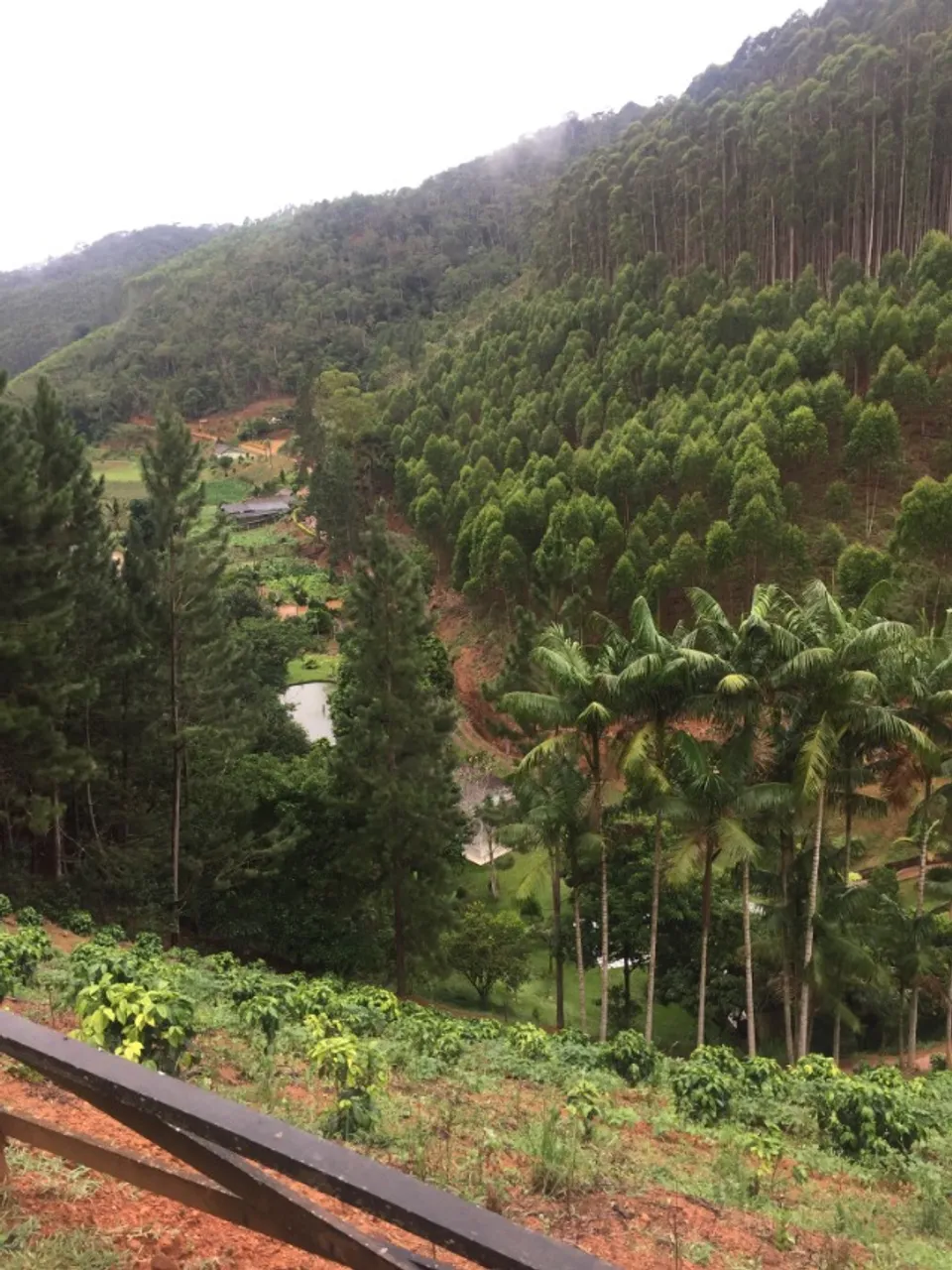 SITIO SANTA TERESA - 400.000 m² - Diversas nascentes dentro da propriedade