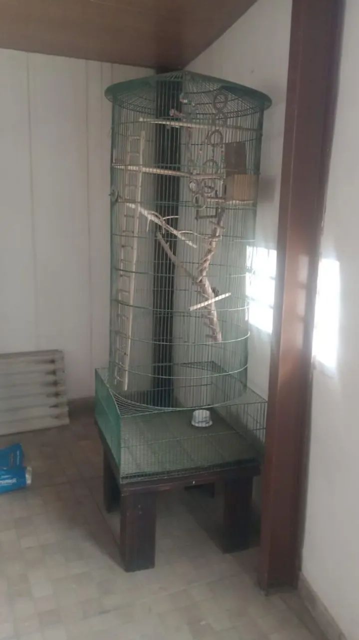 Venda64314061222275121