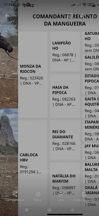 Potro MM, registrado. - Foto 3