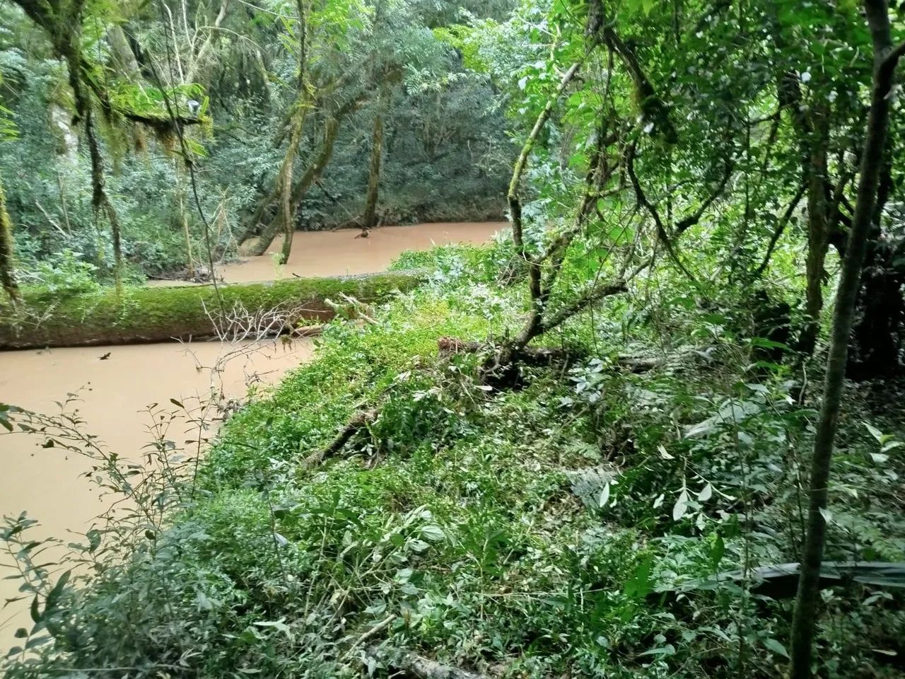 Chácara com tanque de peixe em quitandinha 