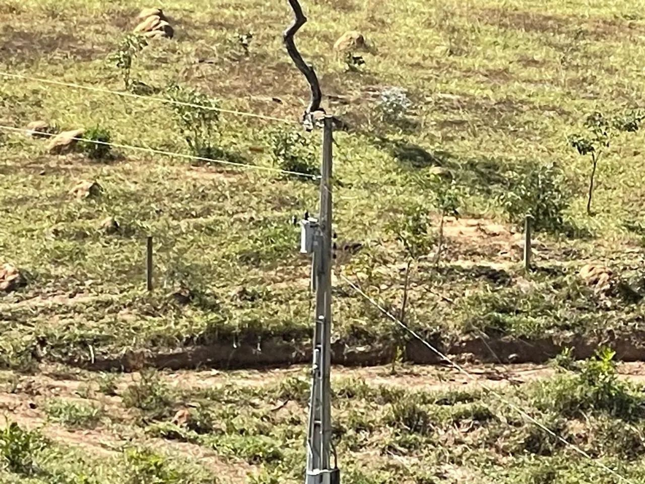 Foto - Goiânia - Nova Suiça