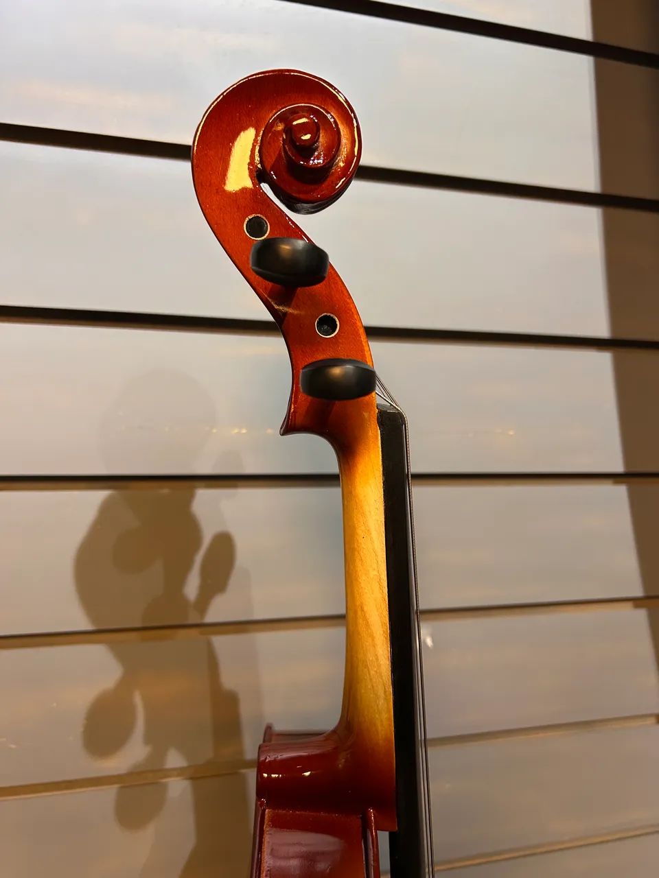 Viola Classica Seminova  - Foto 4