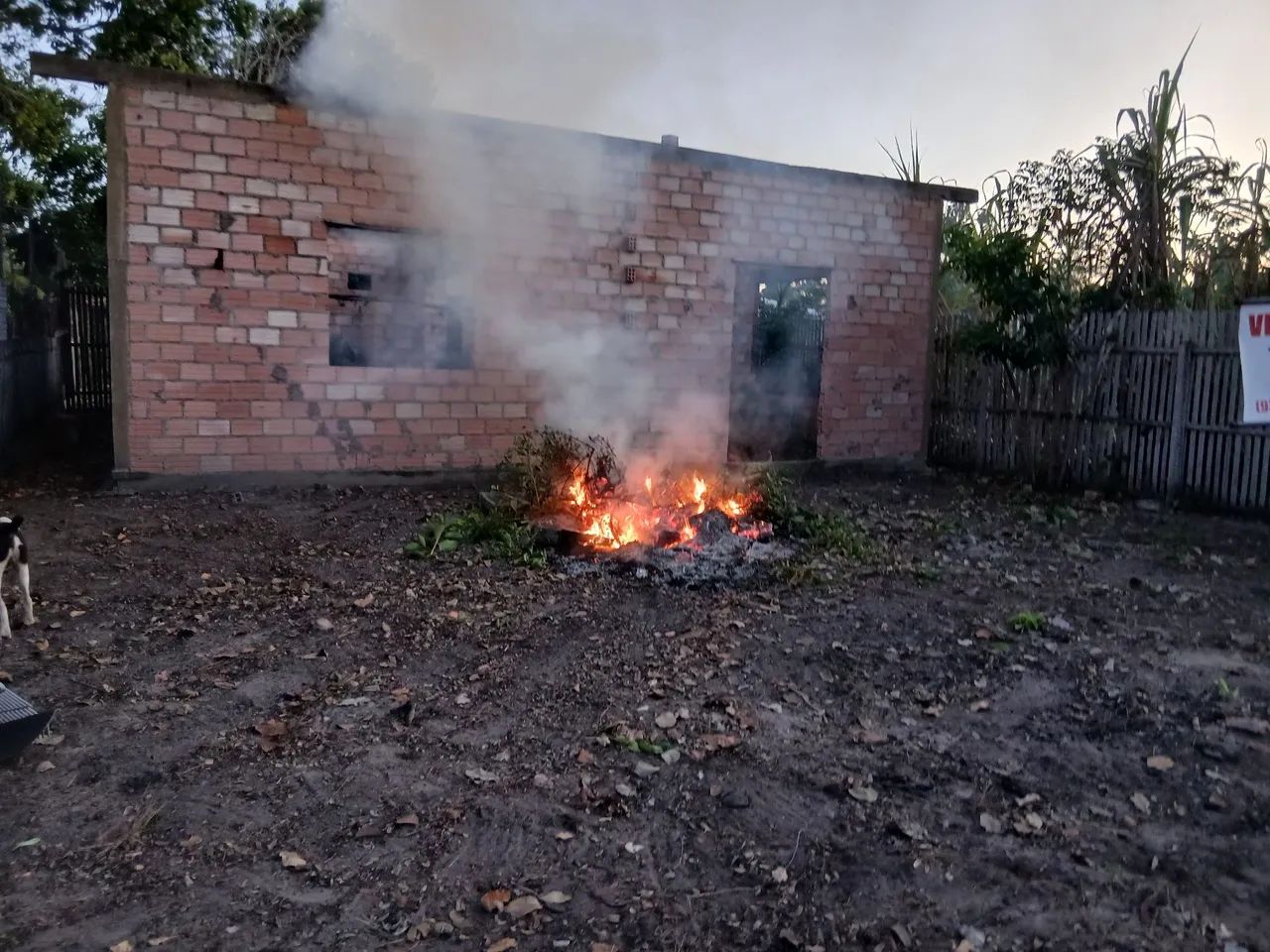 Foto - Santarém - Diamantino