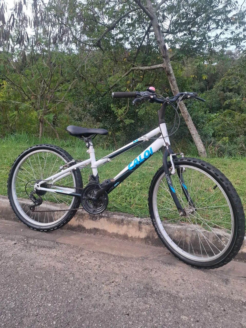 CALOI ARO 24  - Foto 3