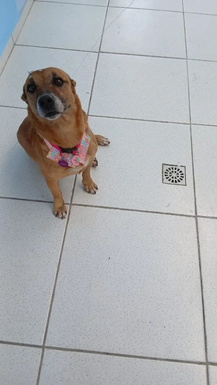 Doação responsável 