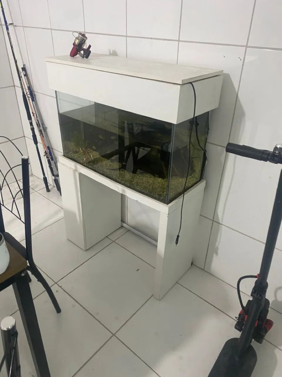 Aquario  - Foto 2