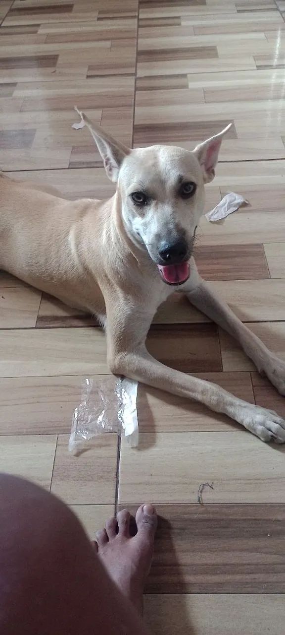 Doação  - Foto 4