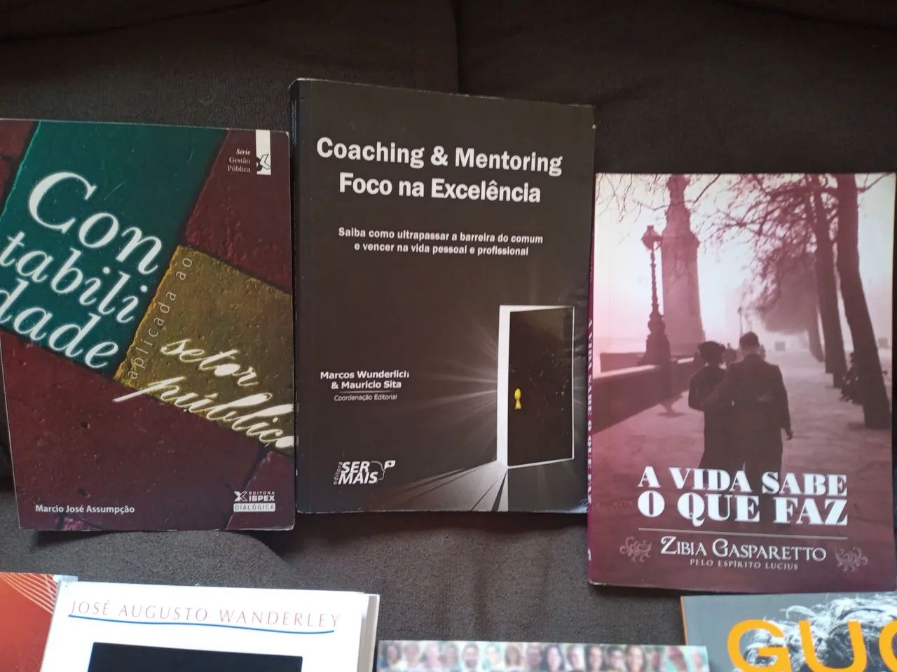 Livros diversos  - Foto 4