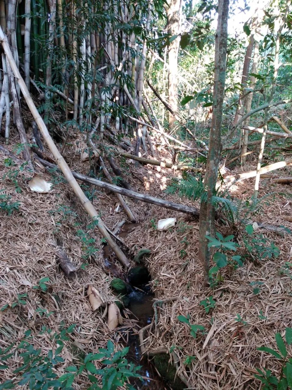 Terreno Rural de 7.700 m² em Itaguara/MG - Foto 3