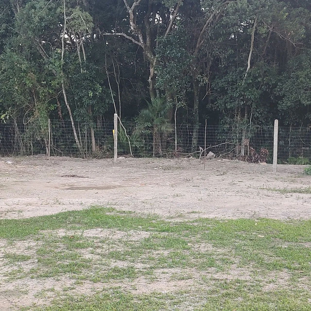 TERRENO NO BAIRRO CARIANOS  - Foto 5