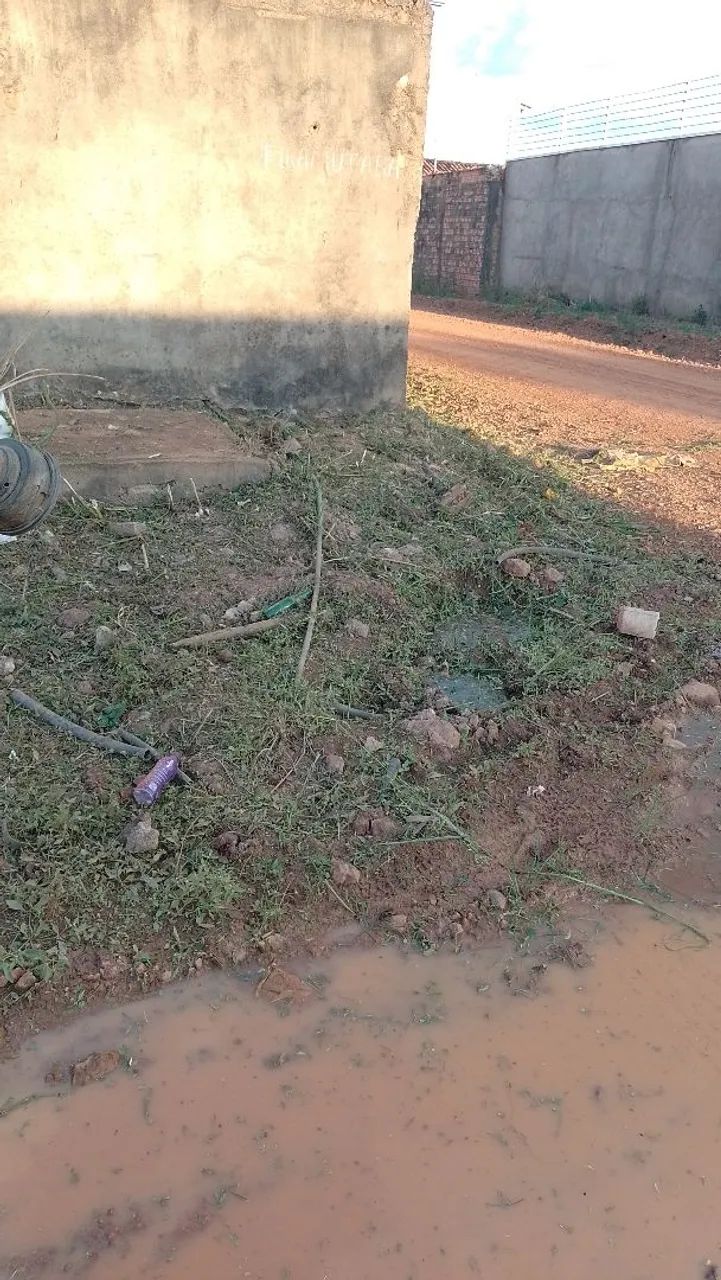 Serviço roçagem e terrenos  - Foto 4