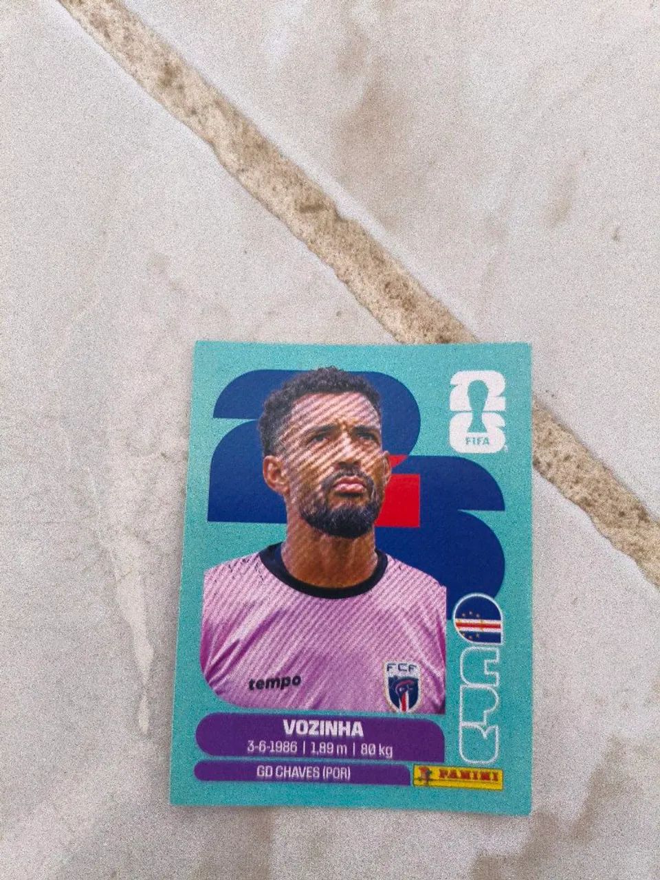 Vozinha 