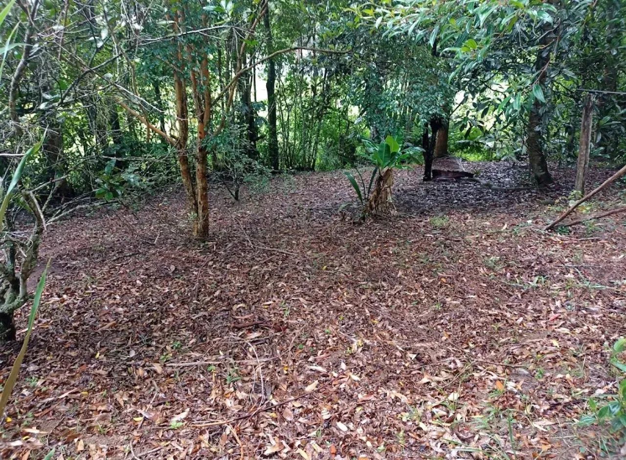 Chácara a venda em Salesópolis sp. - Foto 5