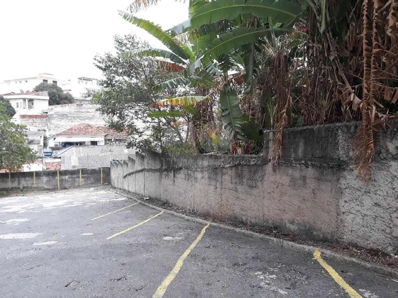 Terreno à venda em Casa verde - SP - Foto 13