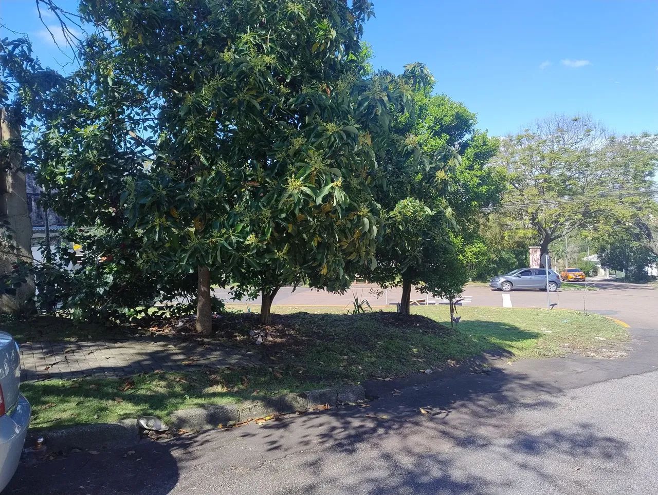 Terreno de esquina Campo comprido  - Foto 5