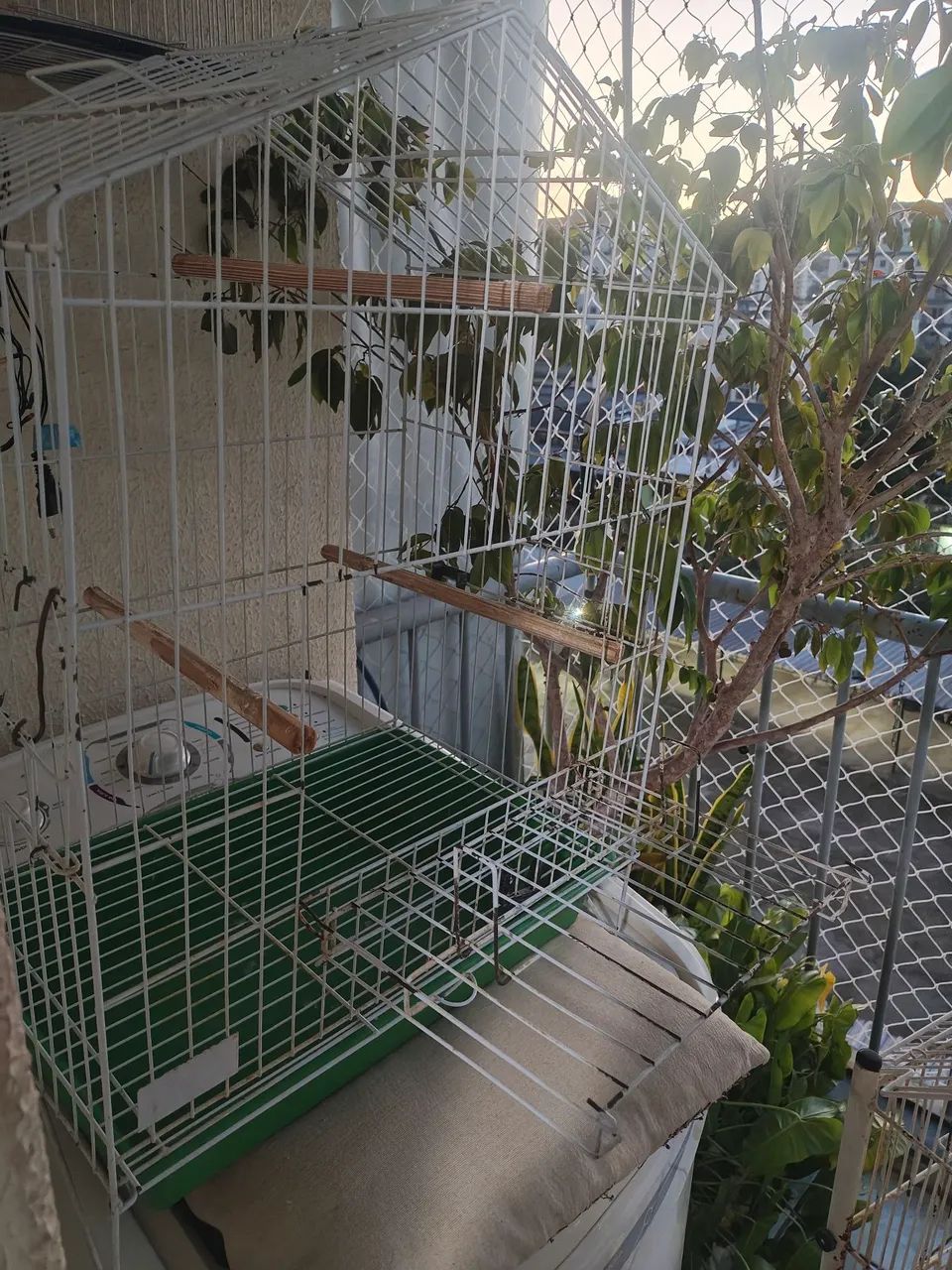 Gaiola para calopsita  - Foto 2