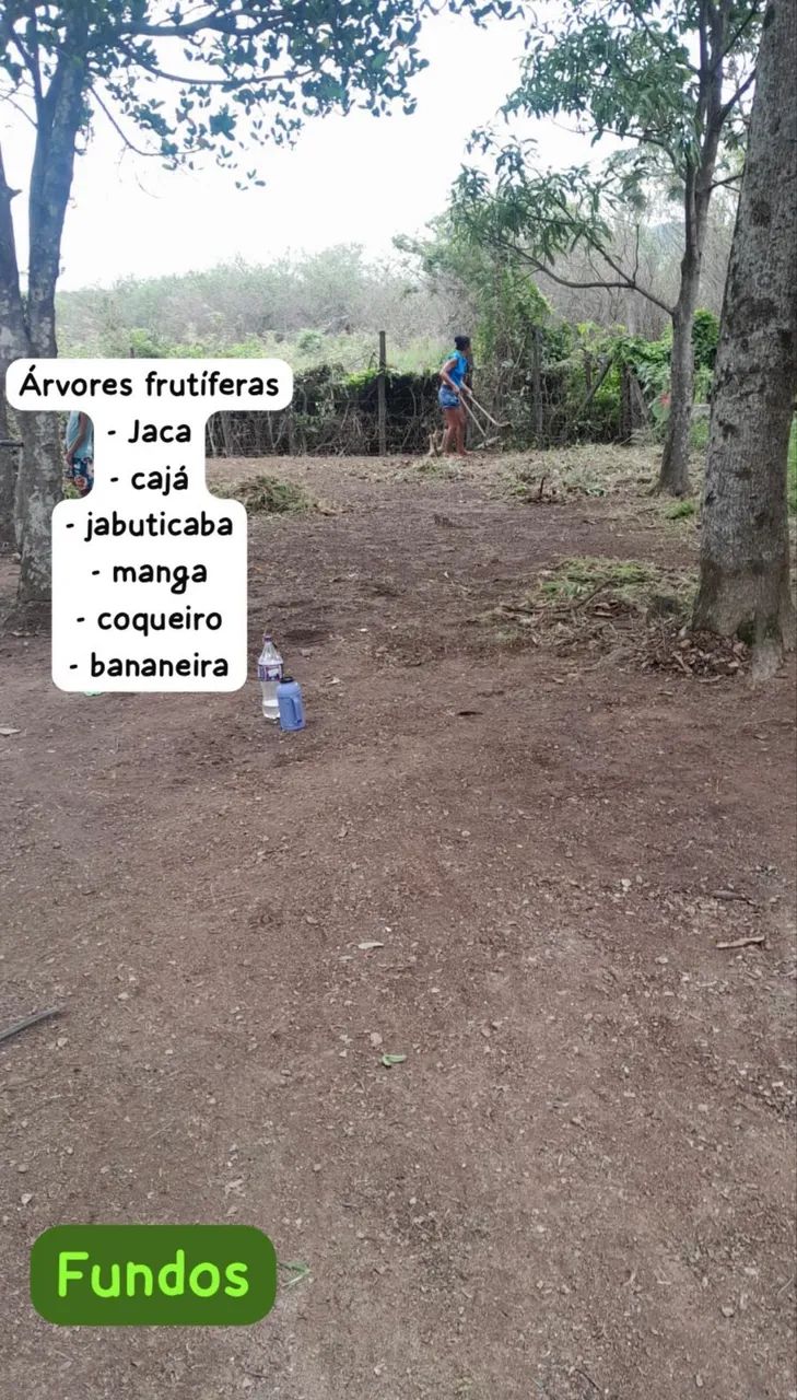 Vende-se terreno  - Foto 2