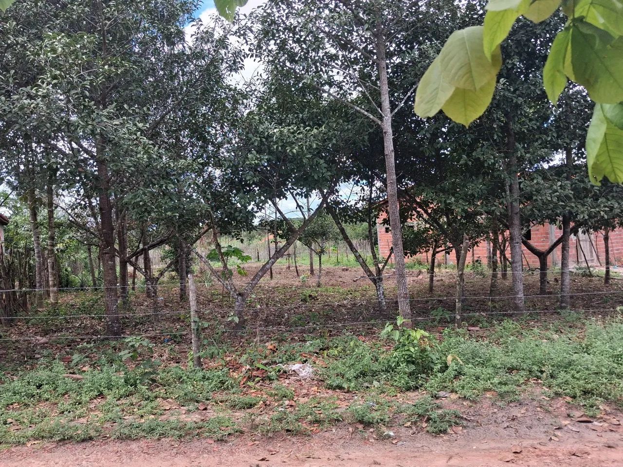 Vende-se terreno  - Foto 2
