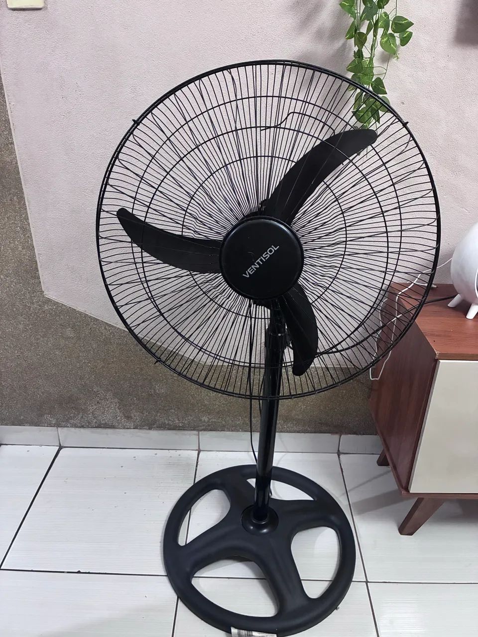 Vendo tufão 