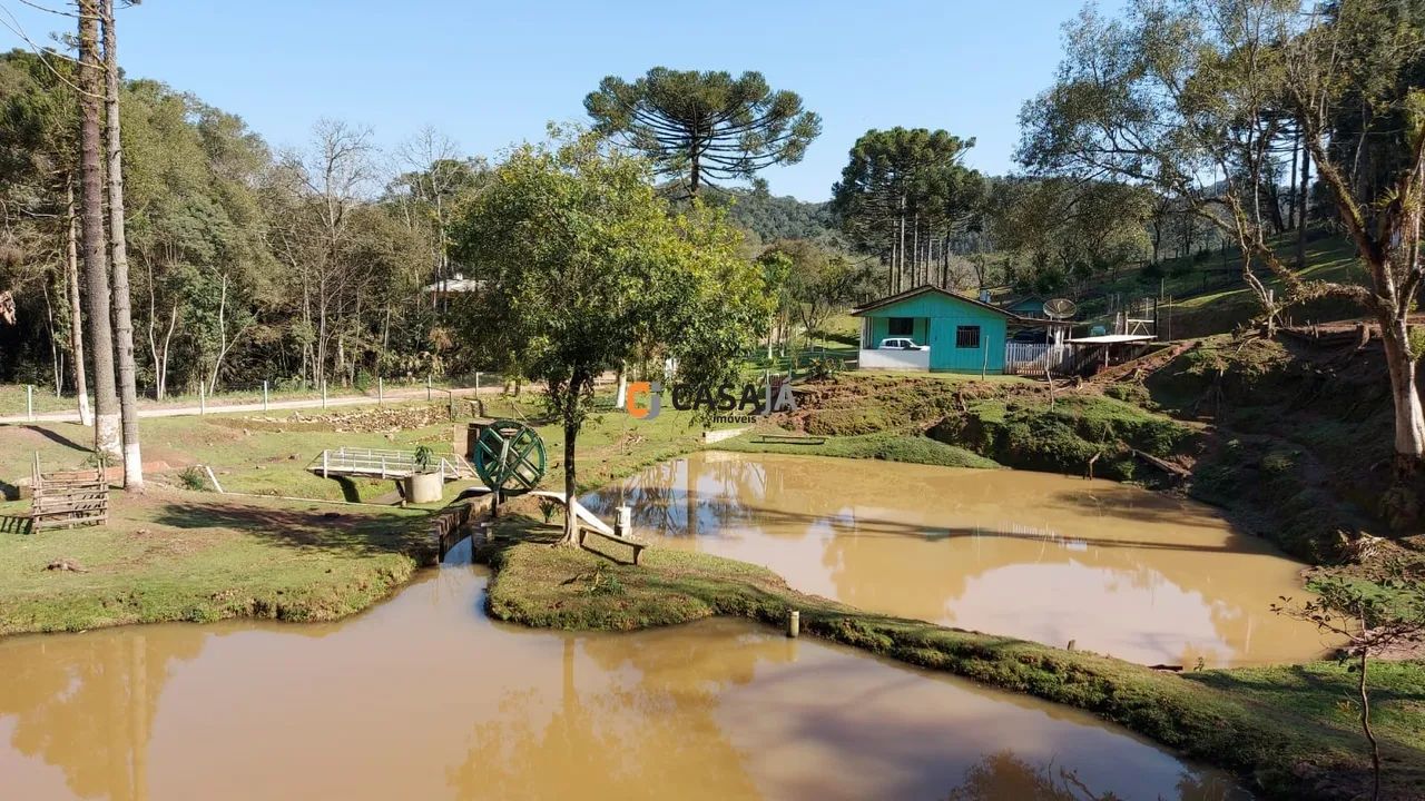 CHACARA RURAL em Campo Largo - PR, Retiro - Foto 2