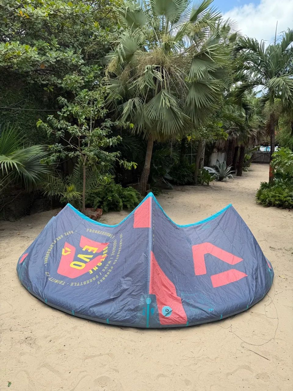 Kite Duotone EVO 2023 9M
