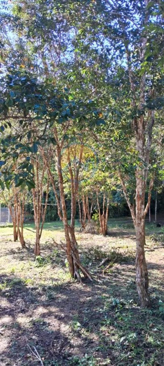 Pousada para Venda em Juquitiba, joao leite - Foto 5