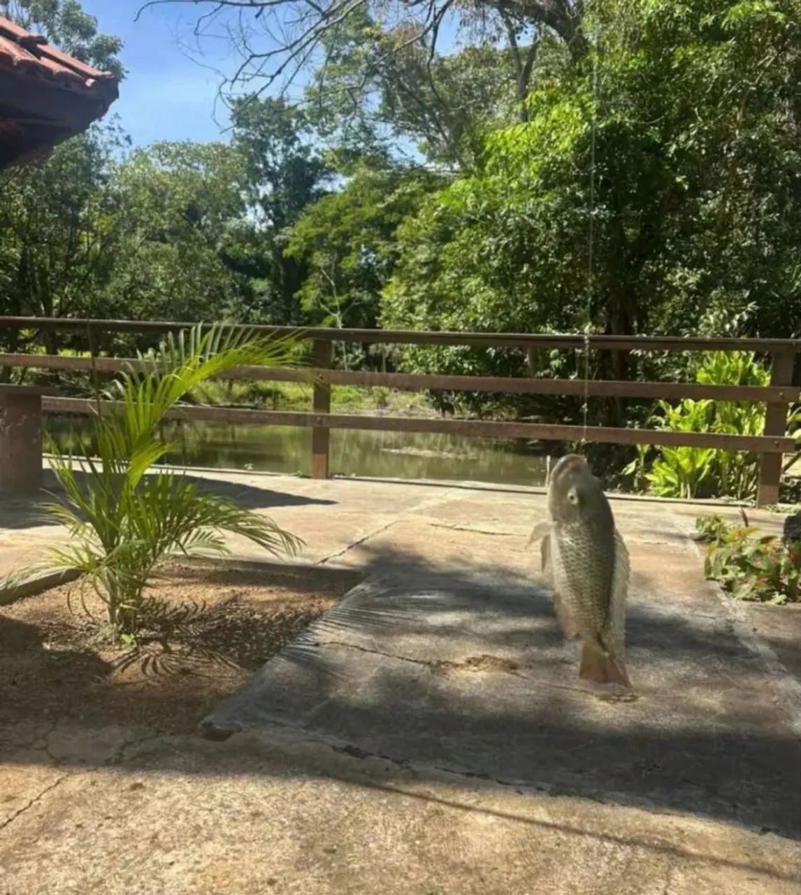 Alugue Rancho San Diego | Piscina Aquecida + Pesqueiro Exclusivo + Hidro - Foto 12