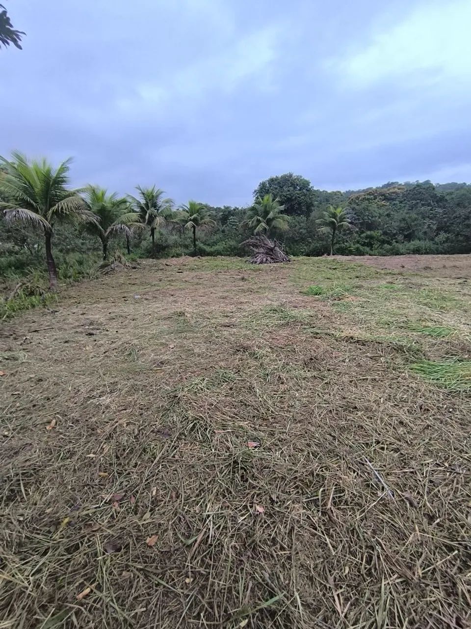 TERRENOS 10X30 TINGUÁ  - Foto 5