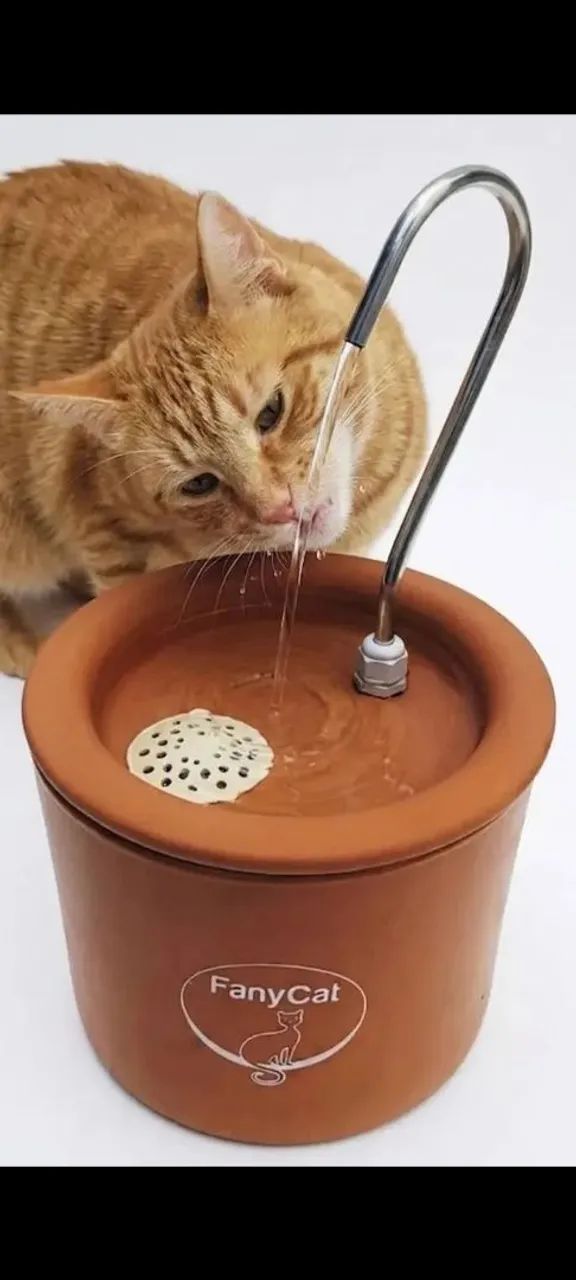Bebedouro para gatos em cerâmica 3 litros  - Foto 4