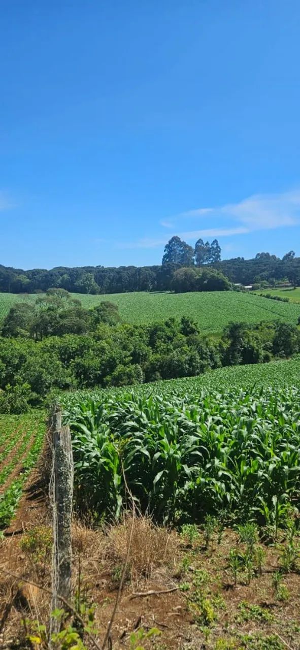 Terreno para sítio ou loteamento  - Foto 9