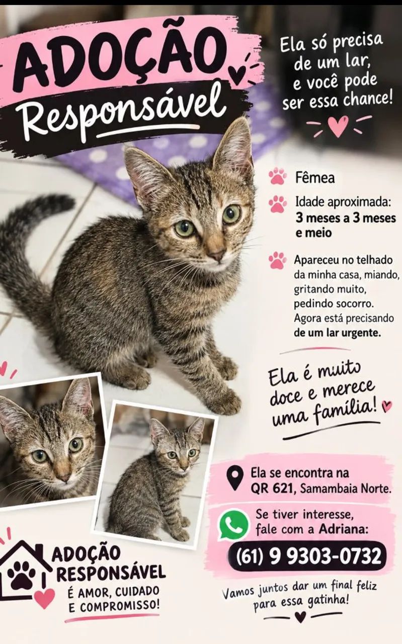 Adoção responsável 