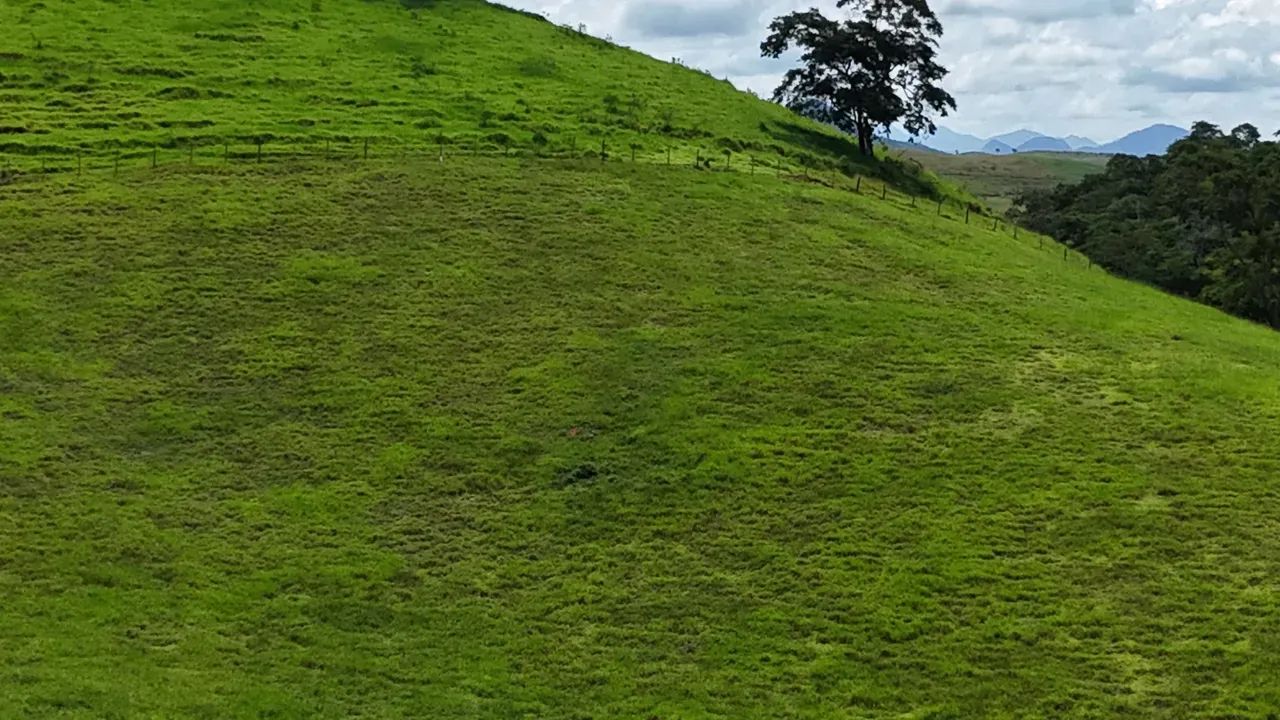 Oportunidade Única: Fazenda de Alta Produtividade agropecuária. - Foto 7