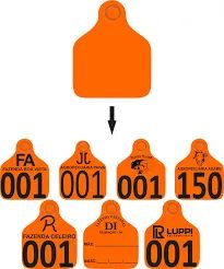 Brinco Bovino de Identificação Personalizado - Foto 4