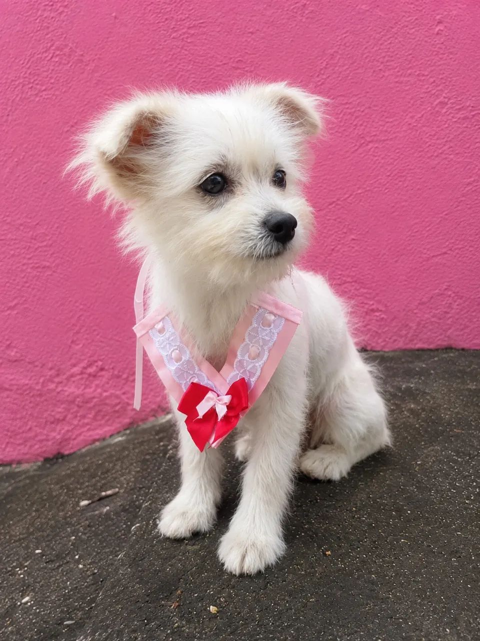 Princesinha 