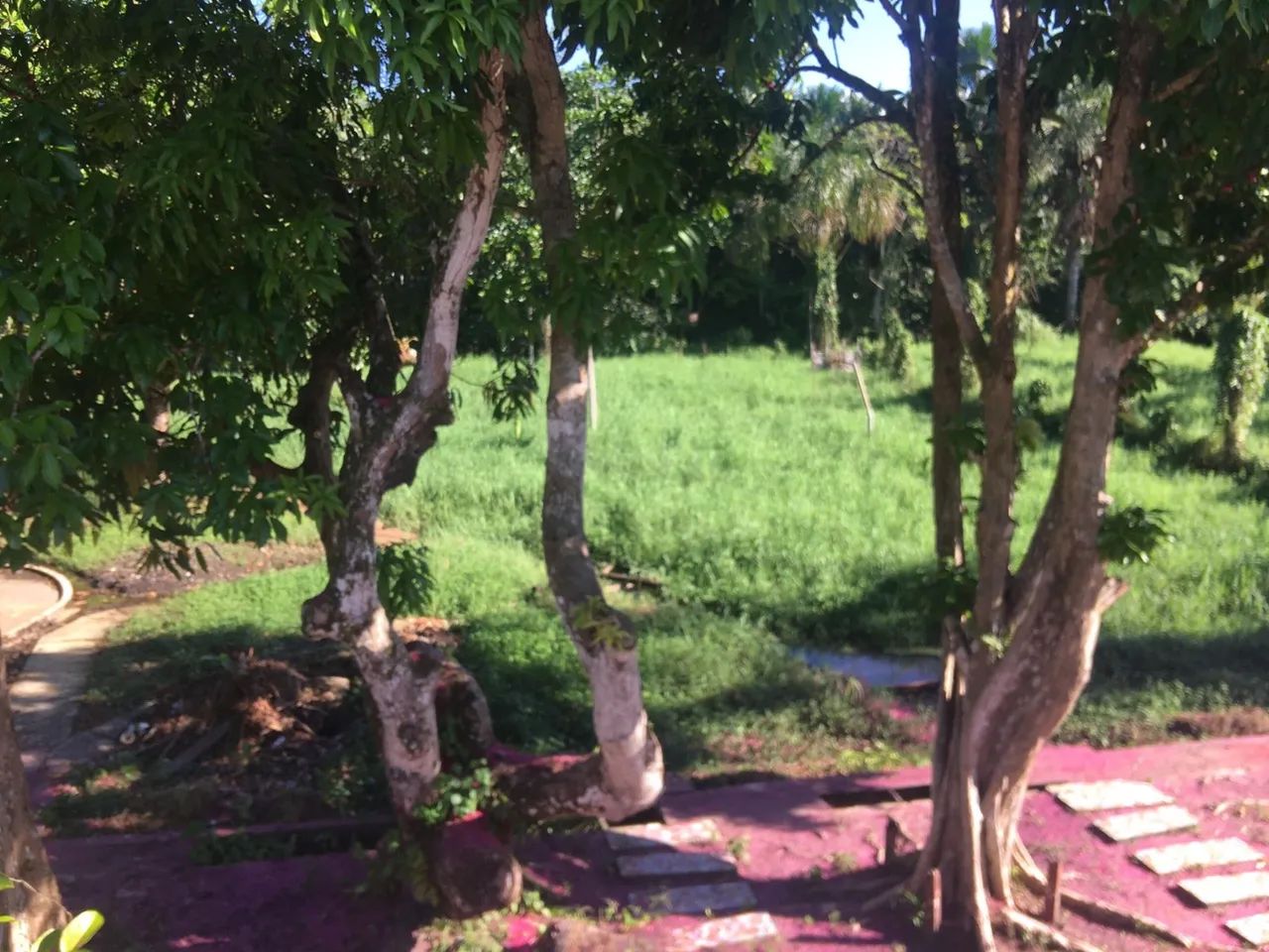 Sítio em Marituba - Foto 4