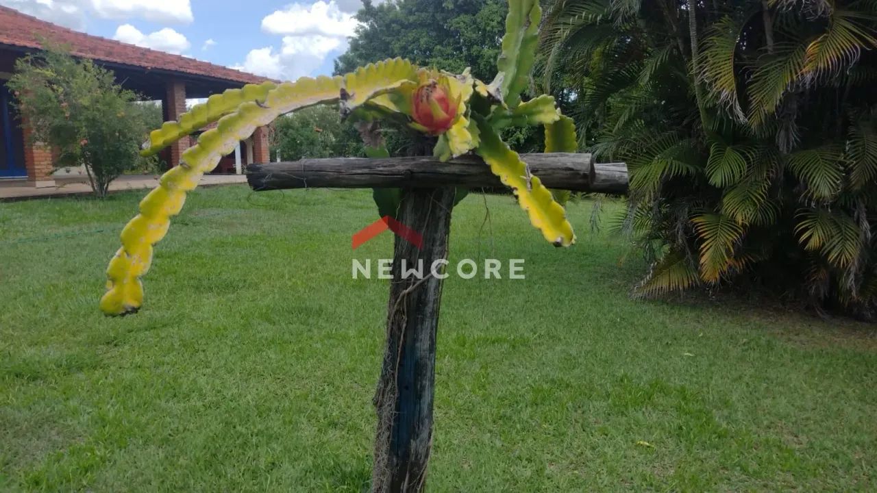 Sítio em Guareí - Centro - Guareí/SP - Foto 5