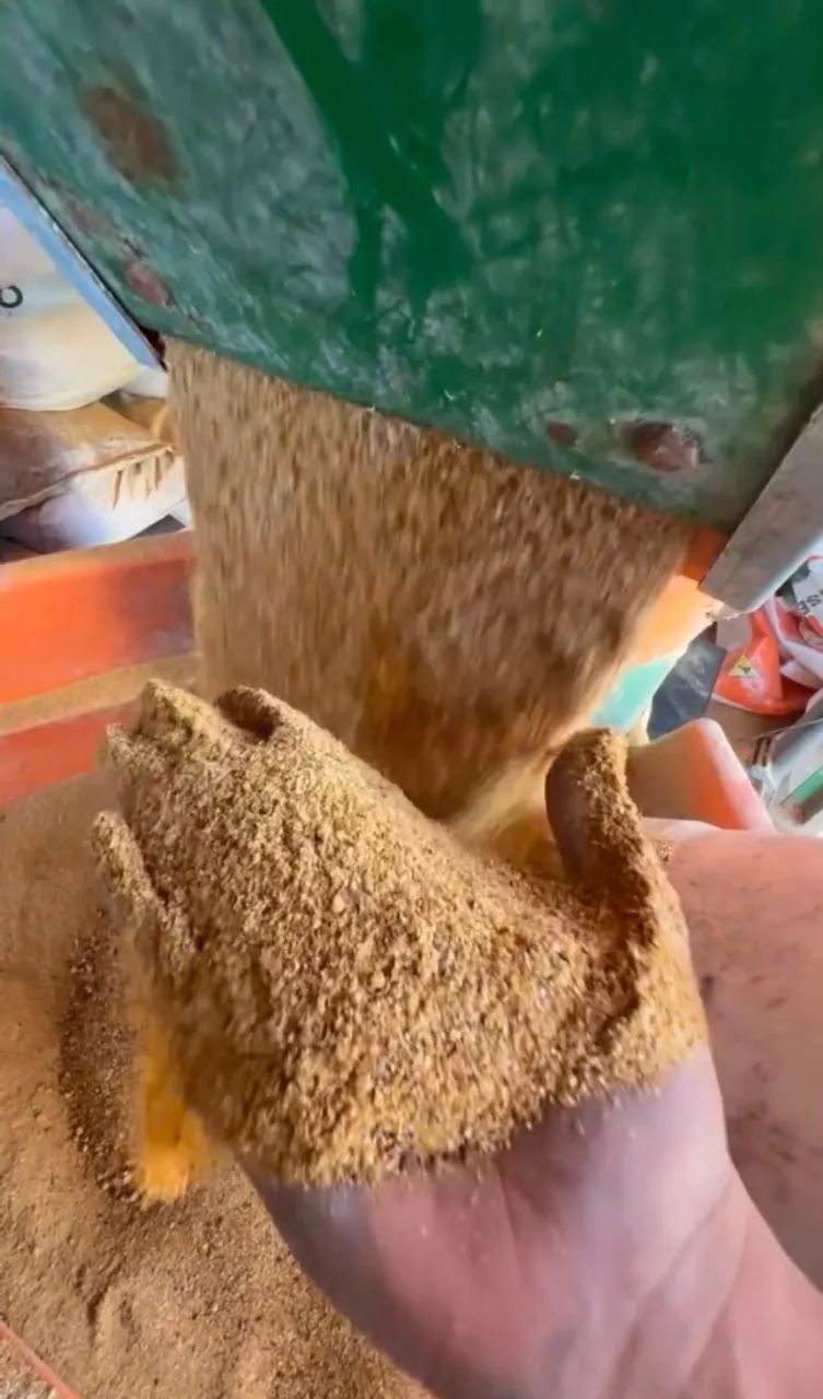MILHO VENDA DIRETA DO PRODUTOR - QUALIDADE E PREÇO JUSTO SEM ATRAVESSADORES - Foto 2