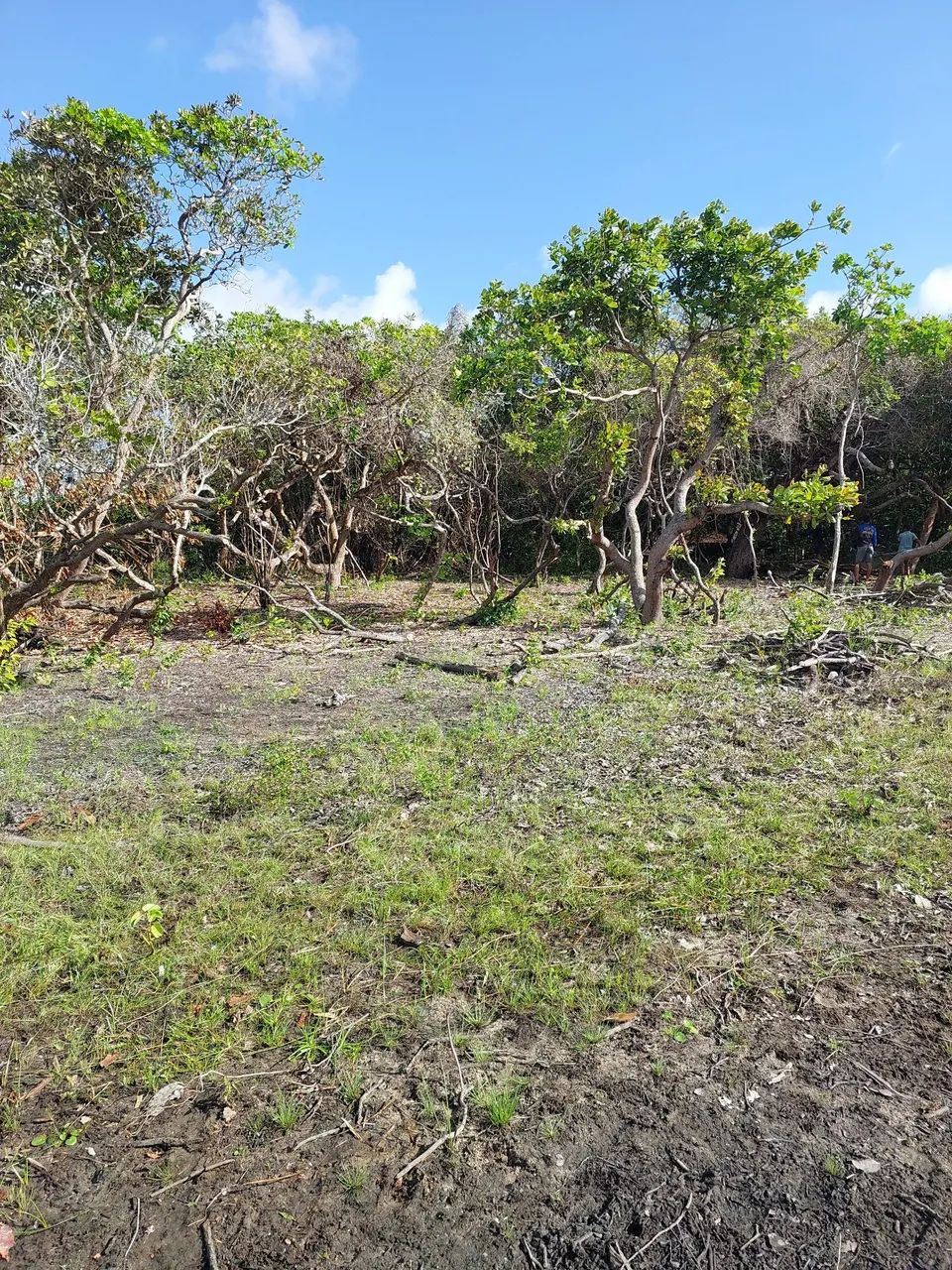 Vendo ou troco terreno em Santo Amaro - Foto 2