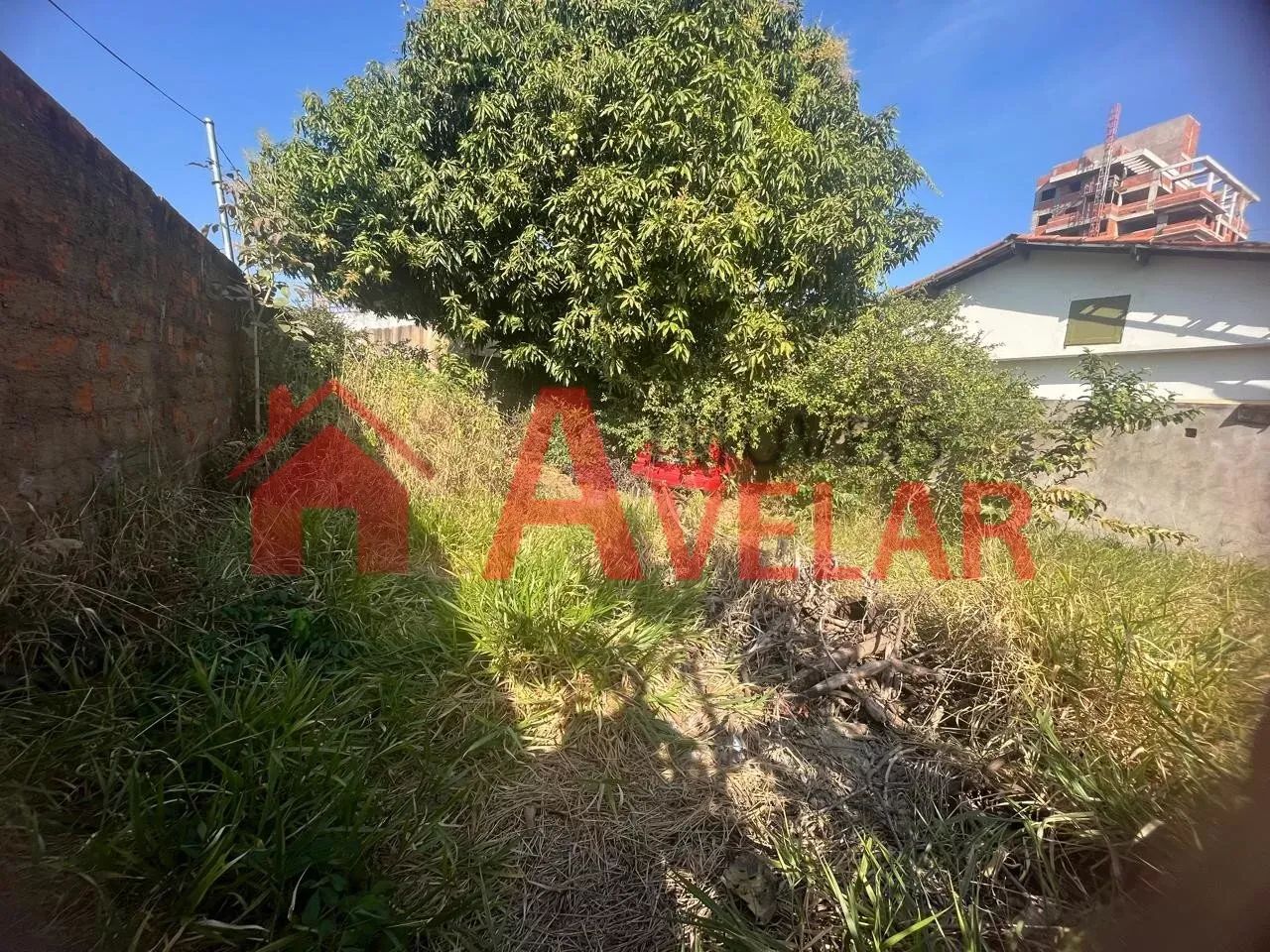 Terreno, Santa Monica, Uberlândia - CA942 - Foto 2