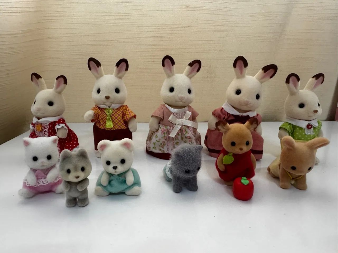 Silvania family - Foto 2