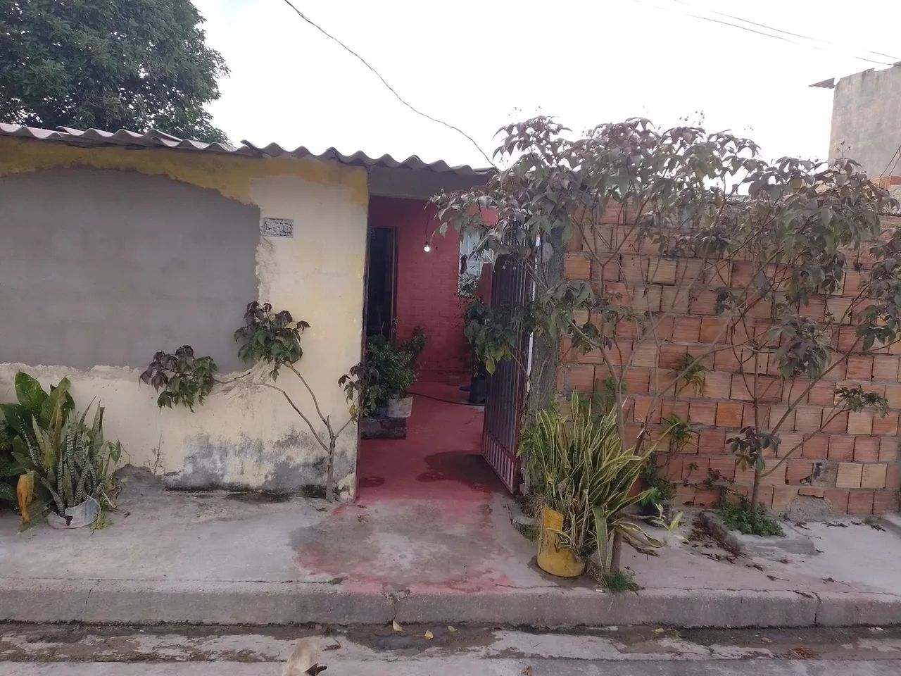 Foto - Manaus - Nova Cidade