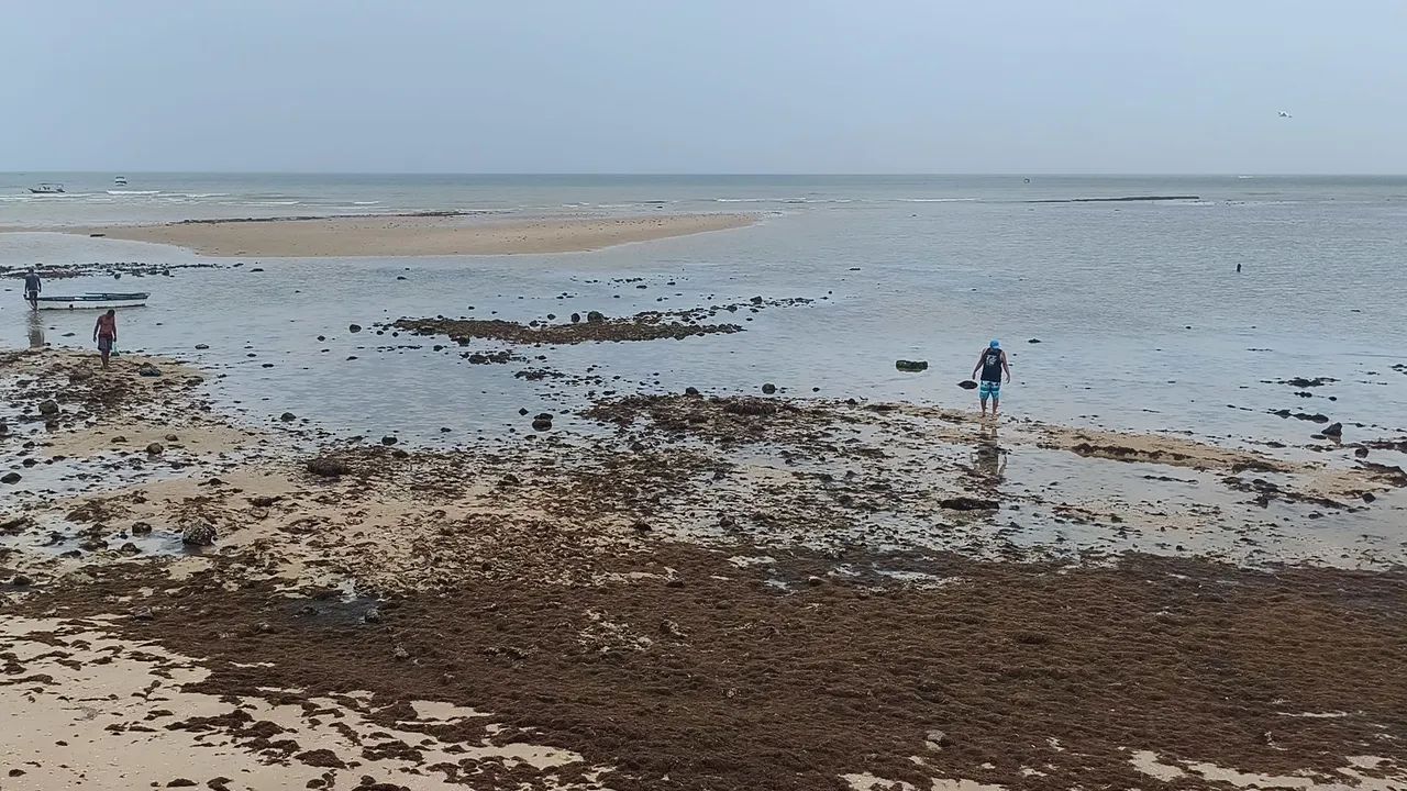 Vagas de trabalho!
